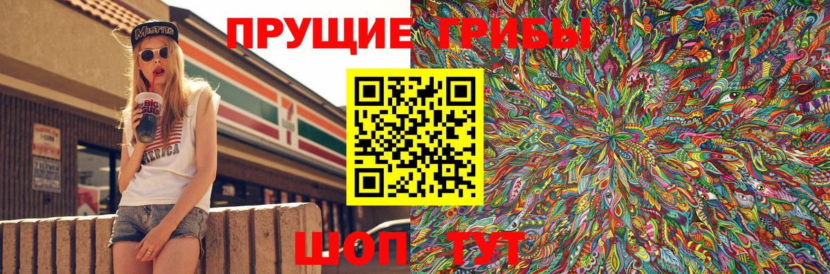 Псилоцибиновые грибы GOLDEN TEACHER Пушкино